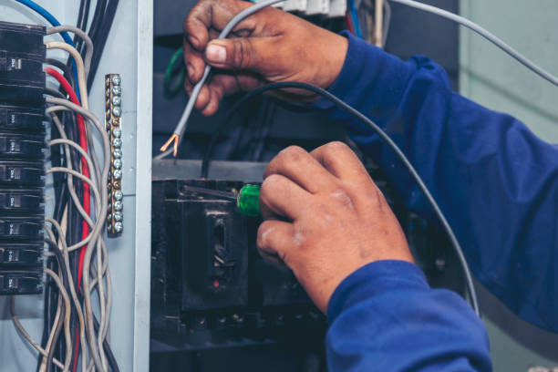 Best Electrical Upgrades for Homes  in Loma, CO